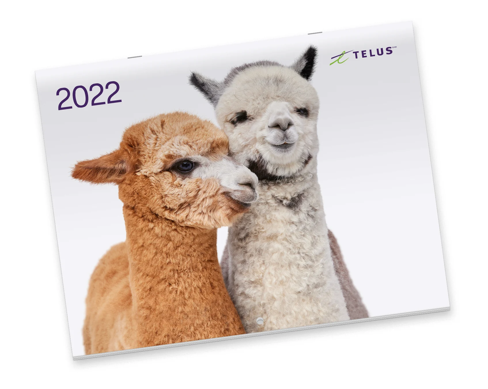 Free 2022 Telus Calendar Free Stuff in Canada