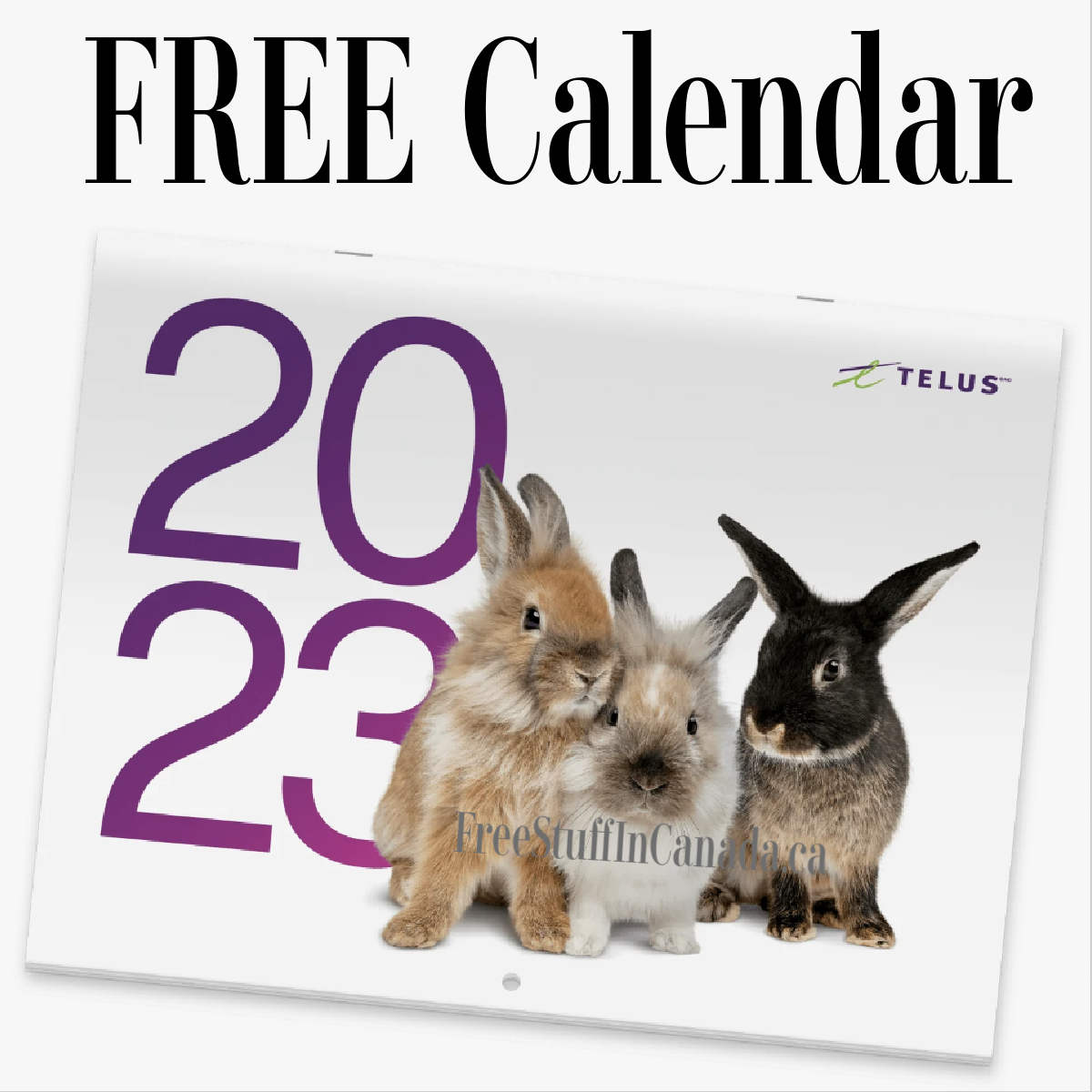 FREE 2023 Telus Calendar Free Stuff In Canada